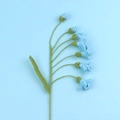 Fleur de freesia faite main au crochet en fil bleu clair pour décor floral - Type multi-fleurs / Bleu clair