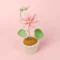 Handgehäkelte Blume im Topf in Rosa mit Knospen als Geschenk für Lehrer und Freunde - Rosa Öltungblüte (Häkelbasis)