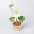 Détail de fleurs crochetées à la main en pot blanc avec des feuilles vertes - Fleur d'Aleurite Blanche (Base au Crochet)