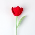 Dettaglio di un tulipano rosso fatto a mano all'uncinetto con stelo e foglia verdi - Rosso