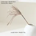 68cm champagne glitter artificial decorative floral spray in a white ceramic vase - Champagne Branch Style A