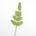 Handmade crochet fern leaf in grass green color for DIY floral arrangements - Light Army Green