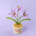 Detailed macro view of handmade crochet potted Zephyranthes with soft purple petals - Purple