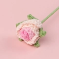 Handmade crochet rose flower in pink and cream gradient yarn for gifts - Gradient Korean Pink