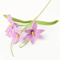 Handmade crochet tulip flower in light purple finish for gifts and home decoration - Three Onion Lily Branch / Rose Purple