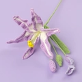 Handmade crochet lily in lavender and white with green stem on a matching purple background - Purple