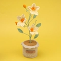 Handmade crocheted clematis potted plant with white flowers and orange centers - Large Cylindrical Potted / Yellow