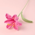 Handmade pink crochet lily flower with green stem on a matching pink background - Rose Red