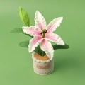 Handmade crochet lily potted plant with pink petals and green leaves in a beige pot - Pink and White Gradient Lily (Large Woolen Cylindrical Pot)