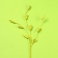 Handmade crochet green plant sprig with knitted leaves for home floral decoration - Light Yellow