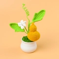 Detailed view of handmade crochet yellow gourd plant in white ceramic pot with flower - Gourd Potted