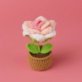 Plante de rose au crochet faite à la main en fil rose et blanc pour décor de table - Rose Coréen Dégradé
