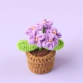 Handmade crochet forget-me-not potted plant for home and desktop decoration - Mini Pot / Purple Forget-me-not Potted