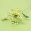 Flor de Epiphyllum tejida a mano en ganchillo de lana amarillo claro para decorar - Ramas De Flores De Epiphyllum - Verdes