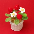 Handmade crochet strawberry potted plant with red berries and white flowers - Strawberry Potted Plant