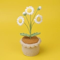 Handmade crochet white daisy flower potted plant with yellow core on yellow backdrop - White Daisy Potted Plant
