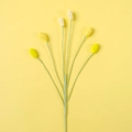 Detalle macro de rama floral tejida a mano con seis capullos de ganchillo amarillos y blancos - Amarillo Degradado