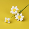 Detail van drie handgemaakte gehaakte madeliefjes met witte blaadjes en stengels - Wit