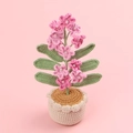 Handgefertigter Rosa Häkel-Blumen-Bonsai mit Perlenakzenten und gestricktem Topf - Verlauf Dunkelrosa (6 Blätter) Vergissmeinnicht (Mittlerer Zylindrischer Garntopf)