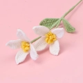 Détail de fleurs blanches crochetées main avec cœurs jaunes et feuilles en tricot - Blanc