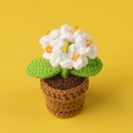 Handmade crochet forget-me-not flower in a brown pot with white petals and yellow centers - White - 5-head Forget-me-not Potted Plant (mini Yarn Pot)