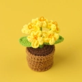 Handmade crochet yellow forget-me-not potted flower with green leaves and brown base - Yellow - 5-headed Forget-me-not Potted Plant (mini Yarn Pot)