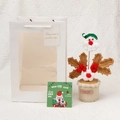 Handmade crochet Santa Claus potted plant set with white window gift box and card - Brown Leaf Holly Berry Santa / Potted Plant Gift Box And Card