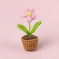 Handmade crochet pink forget-me-not potted plant for home and desktop decoration - Pink Puff Flower Potted Plant - Mini Yarn Pot