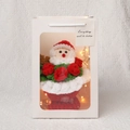 Bouquet di Babbo Natale all'uncinetto con fiori rossi e luci LED in borsa regalo - Stile Babbo Natale (Con Sacchetto Regalo + LED) / Grande