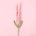 Handgehäkelte lavendelfarbene Blume in Rosa mit grünen Blättern auf rosa Hintergrund - Rosa
