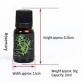 Essential rosemary oil 10ml in brown glass bottle with dropper measurements shown - Rosemary Essential Oil