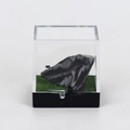 Spécimen de cristal naturel noir dans une boîte en acrylique avec base en gazon vert - Obsidienne