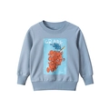Light blue cotton sweatshirt for girls with orange grape print and ribbed cuffs - 90 / Aqua