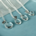 Multiple shapes dandelion seed pendant necklaces with silver wish charm on blue background - Dandelion Heart-Silver