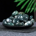 Polished green moss agate healing stones displayed on a black textured tray - Moss Agate (Large)