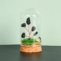 Arbre décoratif en obsidienne noire sous dôme de verre avec base en liège pour la maison - Obsidienne