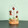 Mini arbre de cristal rouge sous dôme en verre avec base en liège pour déco - Jaspe Rouge