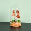 Arbre en cristal orange naturel sous dôme de verre avec socle en liège rustique - Agate rouge