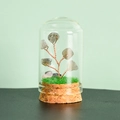 Arbre en cristal naturel sous dôme de verre et base de liège pour décoration - Labradorite