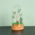 Arbre de cristal vert sous dôme en verre avec socle en liège pour décoration - Aventurine Verte