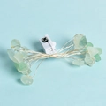 Guirlande lumineuse en cristal de fluorite verte naturelle avec fil d'argent et boîtier - Fluorine Verte-Multicolore