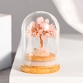Pink quartz crystal tree inside glass dome with wooden base for desktop decor - Money Tree In Glass Dome / Rose Quartz