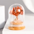 Orange crystal tree in glass dome with natural wood base for desktop decoration - Southern Red Agate