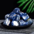 Polished blue sodalite tumbled stones for healing and home decor in a black tray - Sodalite (Large)