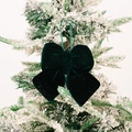 Dark green velvet Christmas bow ornament hanging on snowy pine tree branch - Small / Green