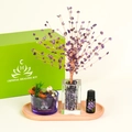 Amethyst crystal tree healing kit with aromatherapy essential oil on a wooden tray - Amethyst Crystal Tree Set