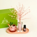 Pink crystal healing tree aromatherapy set with rose essential oil and glass diffuser cup - Rose Quartz Crystal Tree Set