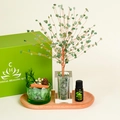 Green aventurine crystal tree healing kit with aromatherapy oil and wooden tray - Aventurine Crystal Tree Set