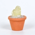 Natural raw yellow crystal stone in terracotta pot for desk decor and diy landscaping - Citrine
