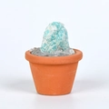 Amazonite raw crystal mineral stone in a terracotta pot for office desktop decoration - Amazonite